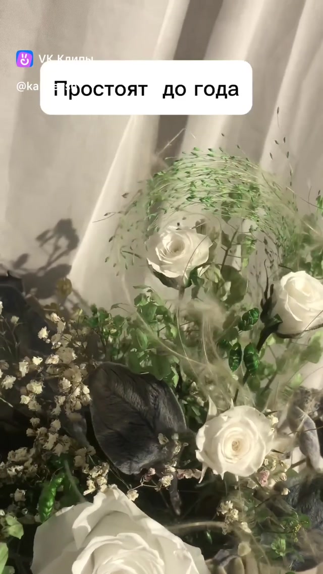 copy_78621caf-52d0-4e67-92db-c0fe3579bdd2.mp4