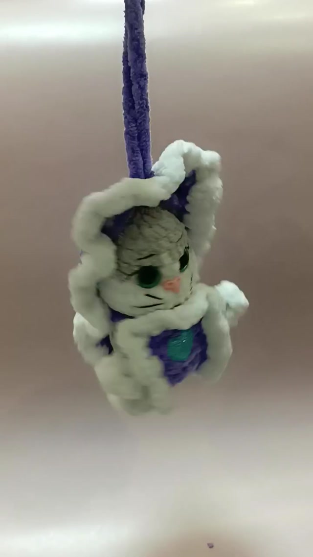 vid_20260215_171231.mp4