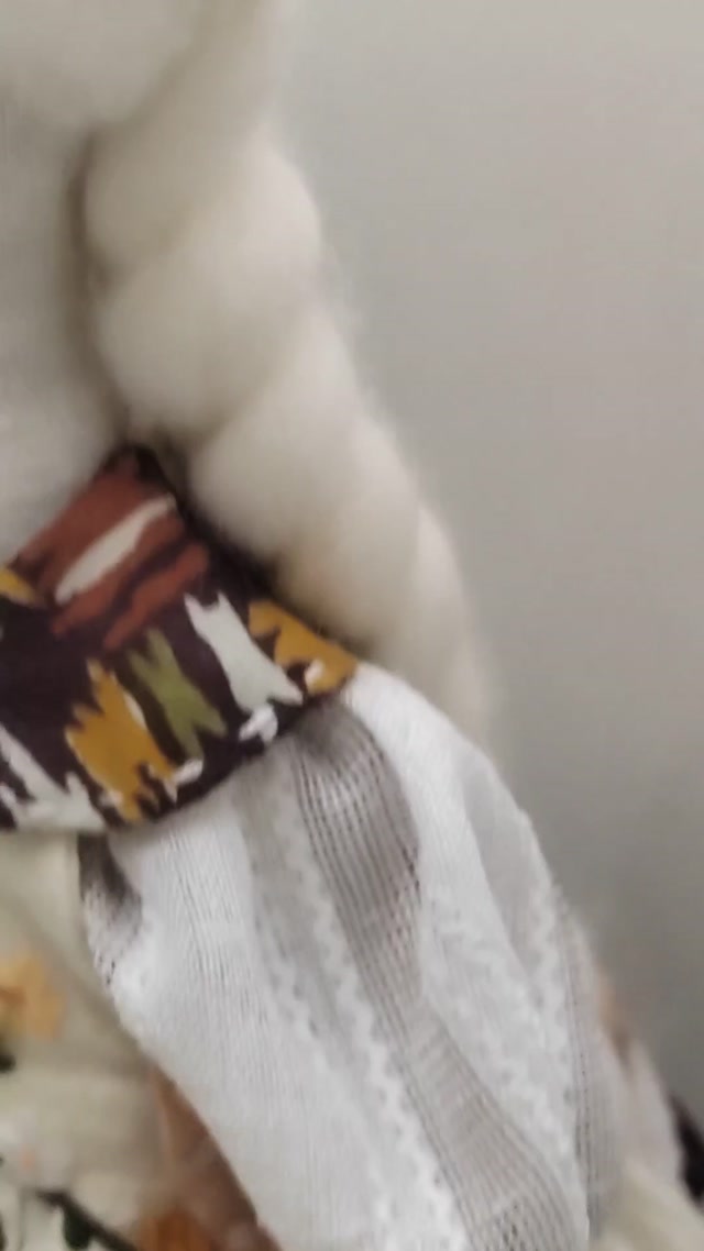 vid_20260204_173916.mp4