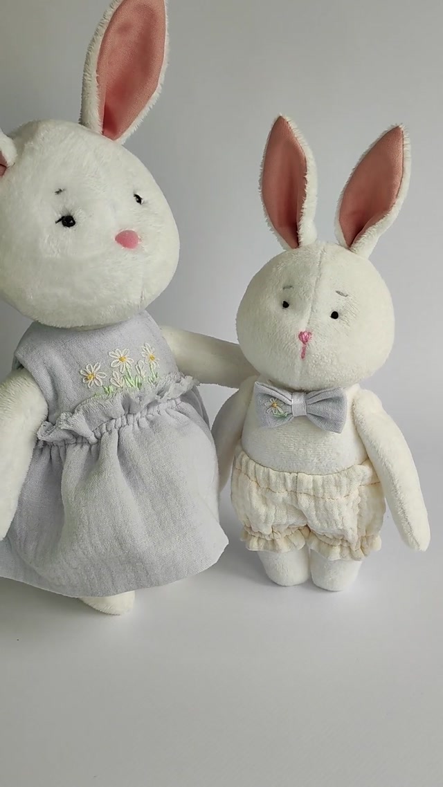 vid_20240321_101540-1.mp4