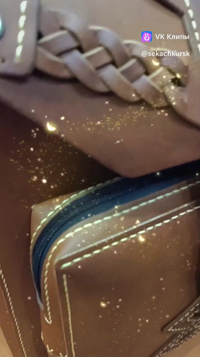 clip229601023_456239021.mp4