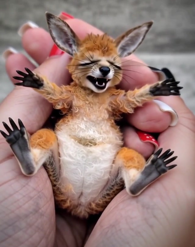 6638272000988076386.mp4