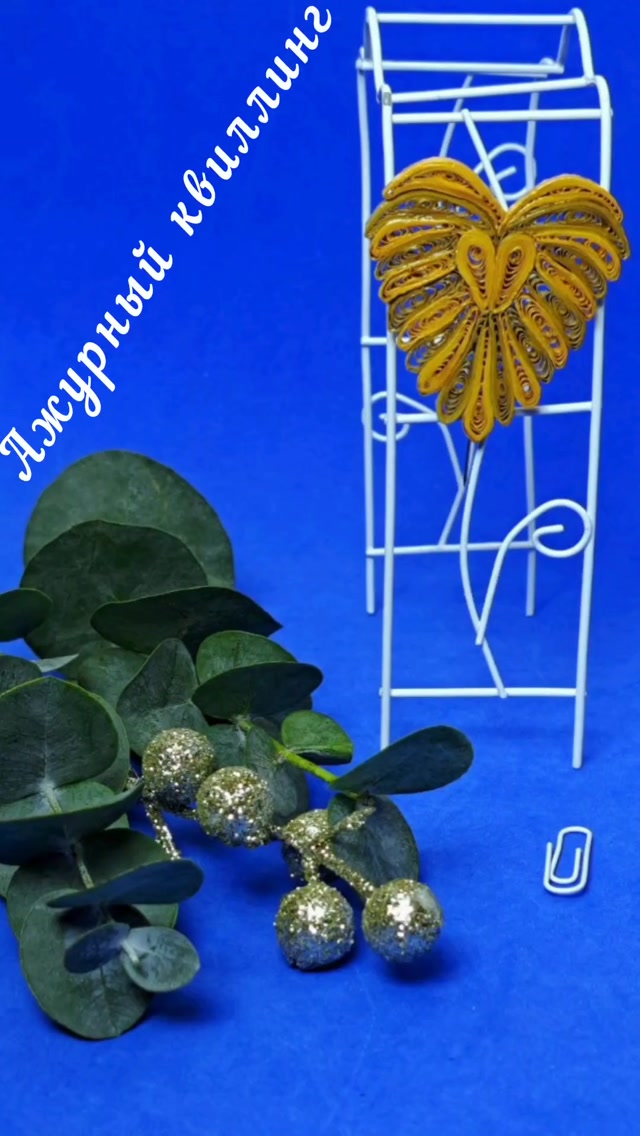 inshot_20240306_113412529.mp4