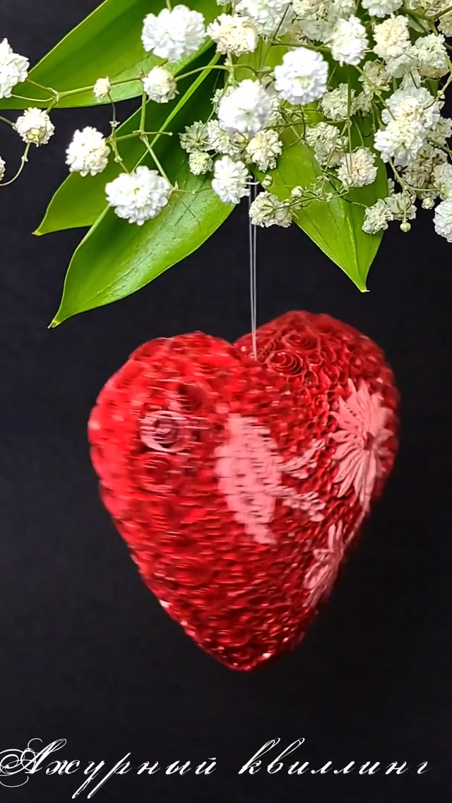 inshot_20260116_214615505.mp4