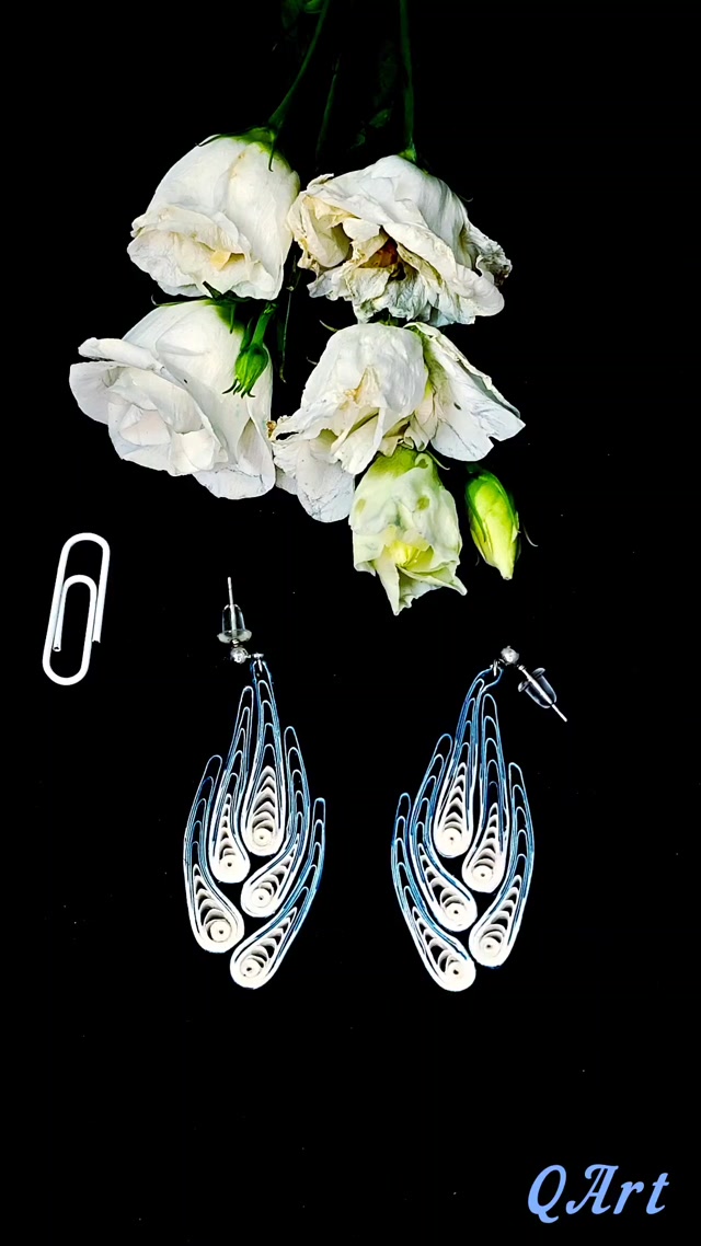 inshot_20260220_120818707.mp4