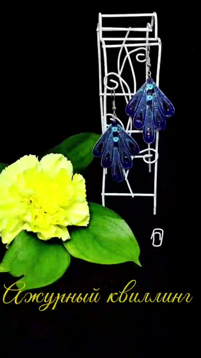 vid_20250206_085906_498.mp4