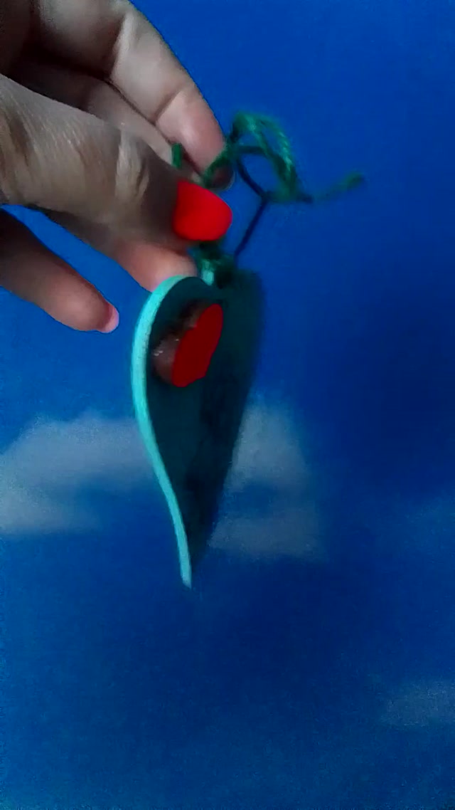 vid_20260205_145538.mp4