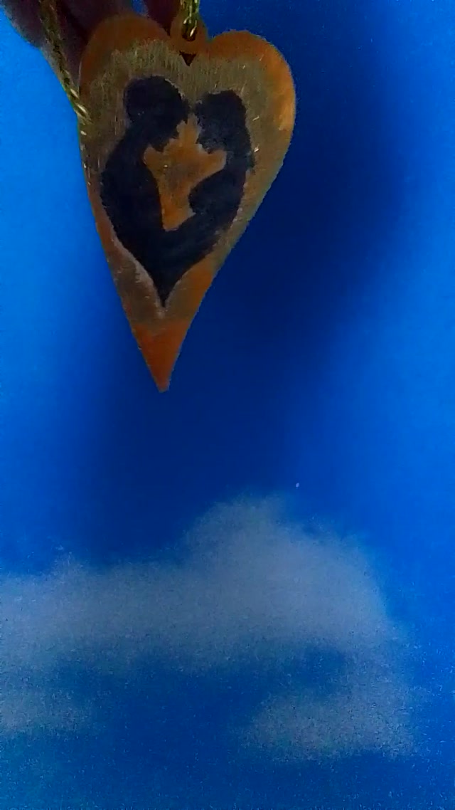 vid_20260205_150223.mp4