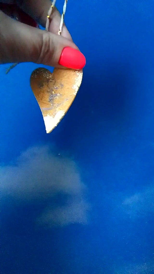 vid_20260205_150452.mp4