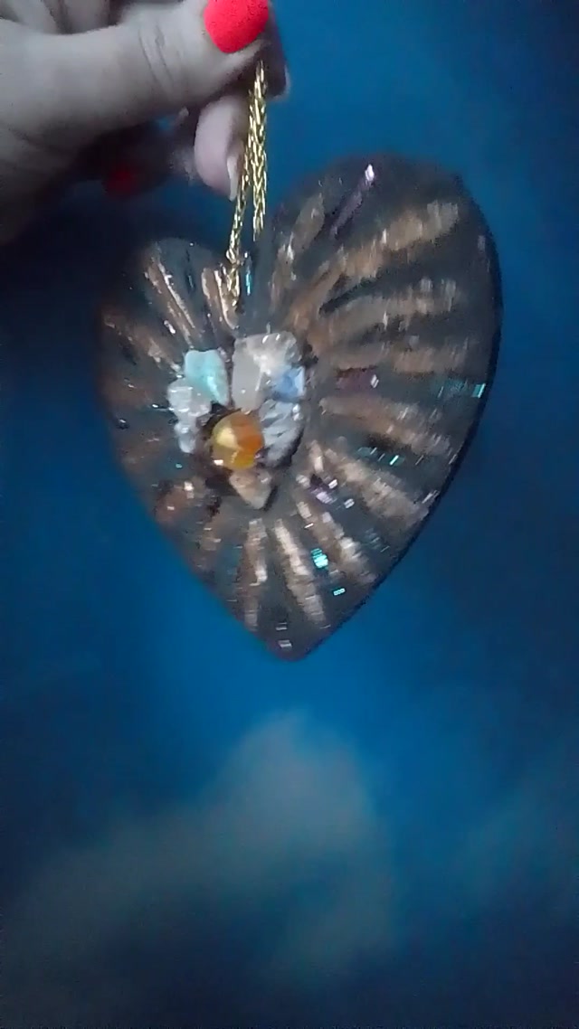 vid_20260207_162307.mp4