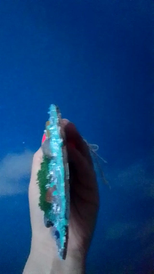 vid_20260207_162634.mp4