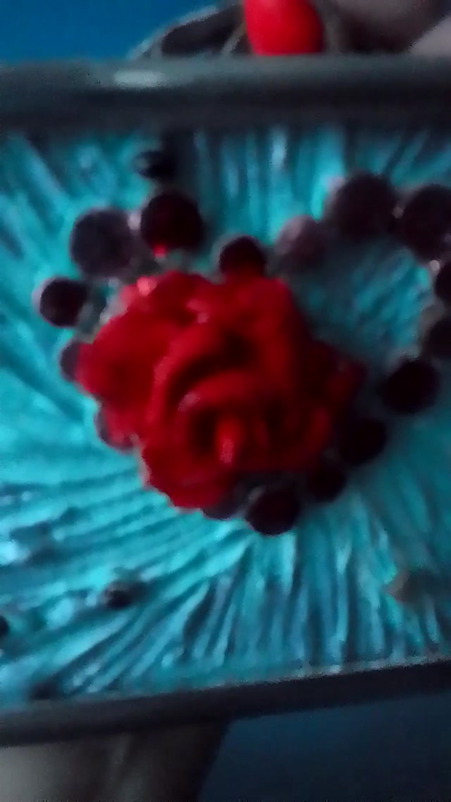 vid_20260207_162934.mp4