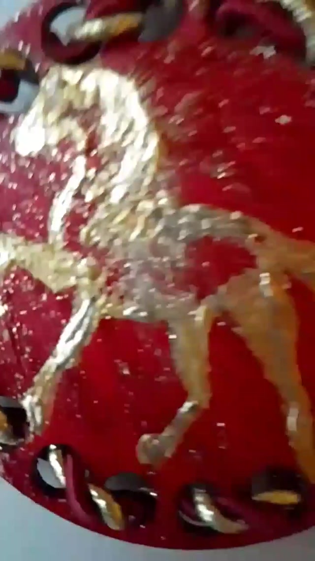 vid_20260209_014606_139-1.mp4