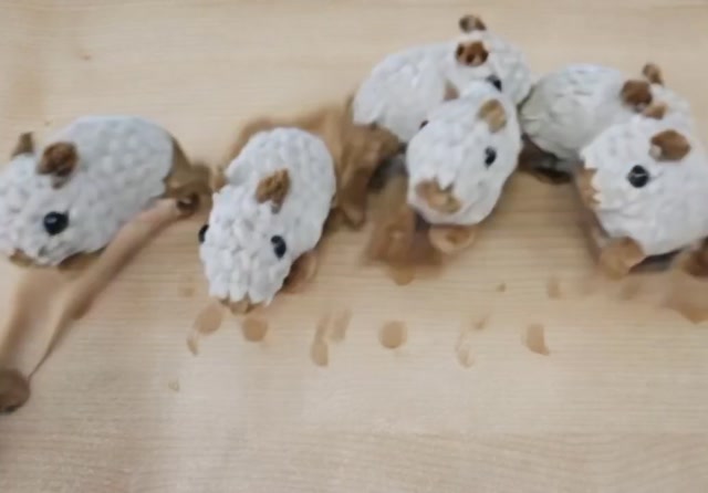 video_2025-12-09_11-49-16.mp4